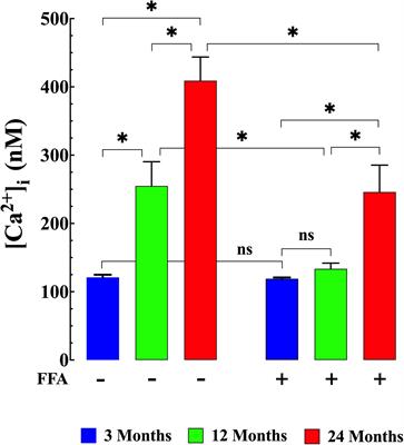 Senescence Is Associated With Elevated Intracellular Resting [Ca2 +] in Mice Skeletal Muscle Fibers. An in vivo Study